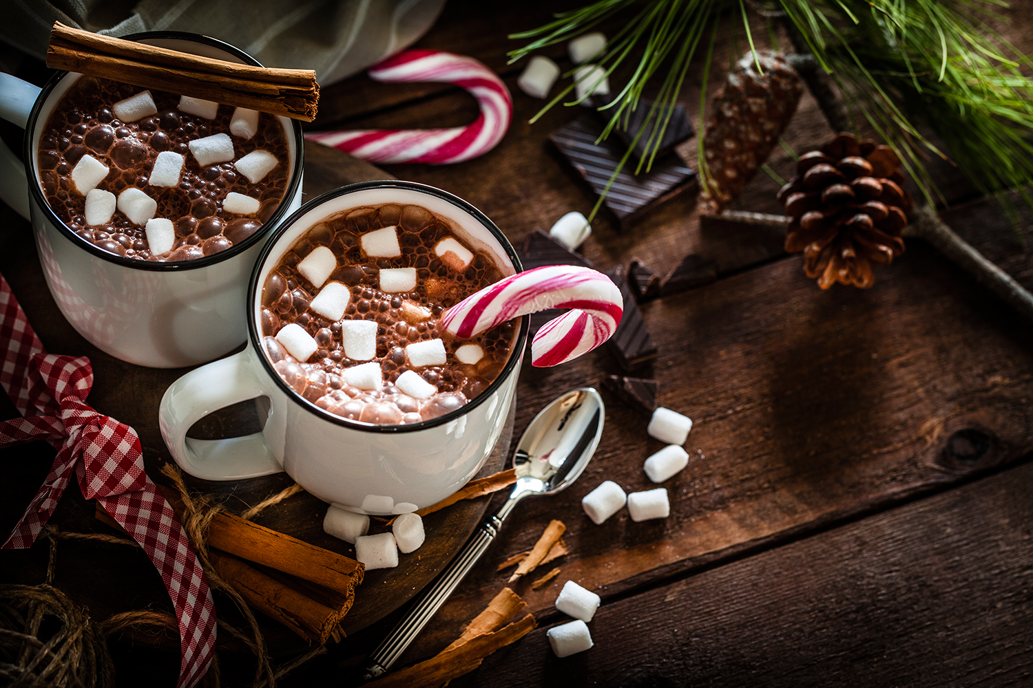 Heißer Winterzauber-Kakao mit Marshmallows | Rezept