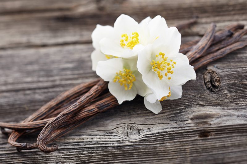 Vanilla pods with jasmine on a wooden background
