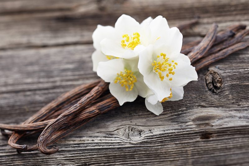Vanilla pods with jasmine Vanilla pods with jasmine on a wooden background