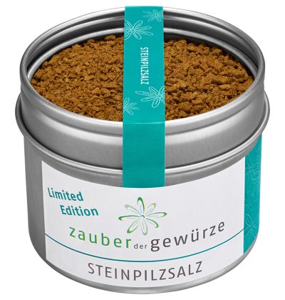 Steinpilzsalz